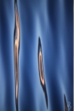 REFLECTIK-5648